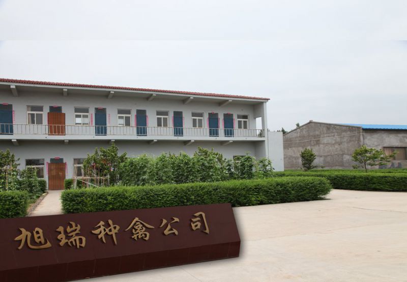 河南米兰官方网站(中国)种禽有限米兰平台